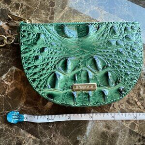 Brahmin Britt in Parakeet